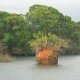 101- Rocher isole sculpte par la nature ou par l'homme 